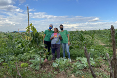Projeto Agricultura Urbana chega à comunidade Menino Chorão