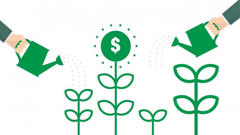Ilustração mostra duas mãos regando plantas. Acima de uma das plantas vemos o símbolo de dinheiro.